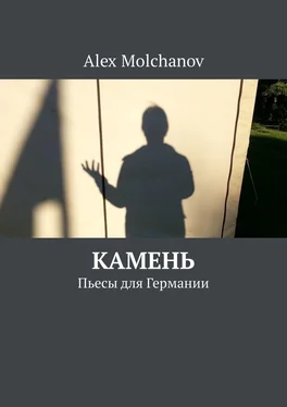 Alex Molchanov Камень. Пьесы для Германии обложка книги