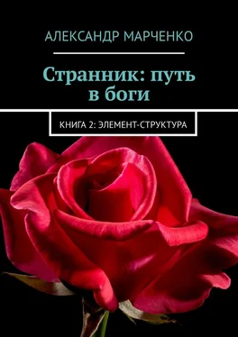 Александр Марченко Странник: путь в боги. Книга 2: элемент-структура обложка книги