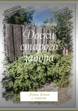 Мария Семикова Доски старого забора. Книги детям о планете обложка книги