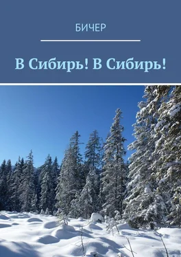 Бичер В Сибирь! В Сибирь! обложка книги