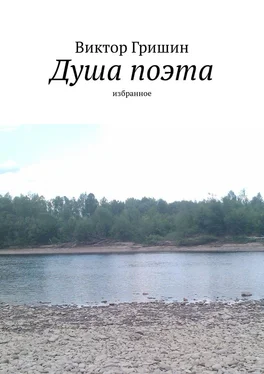 Виктор Гришин Душа поэта. Избранное обложка книги