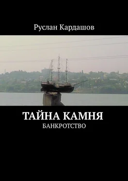 Руслан Кардашов Тайна камня. Банкротство обложка книги