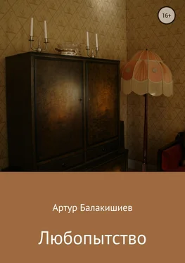 Артур Балакишиев Любопытство обложка книги