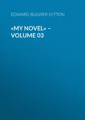 Эдвард Бульвер-Литтон - «My Novel» – Volume 03