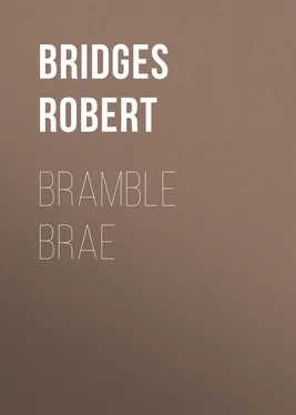 Robert Bridges Bramble Brae обложка книги