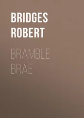 Robert Bridges - Bramble Brae