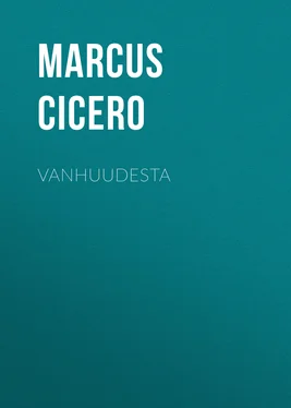 Marcus Cicero Vanhuudesta обложка книги