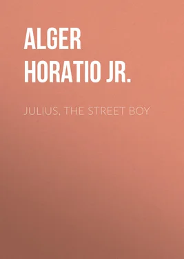 Horatio Alger Julius, The Street Boy обложка книги