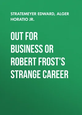 Horatio Alger Out For Business or Robert Frost's Strange Career обложка книги