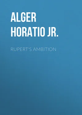 Horatio Alger Rupert's Ambition обложка книги