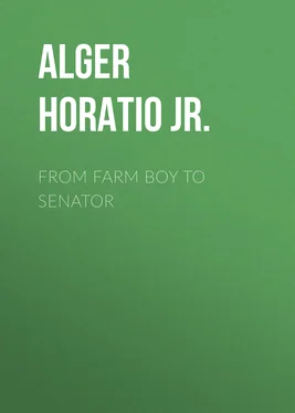 Horatio Alger From Farm Boy to Senator обложка книги