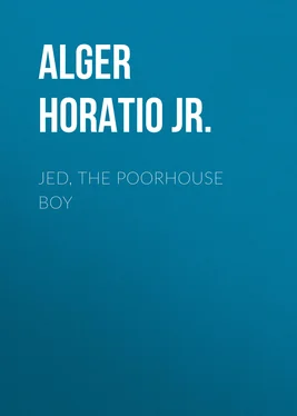 Horatio Alger Jed, the Poorhouse Boy обложка книги