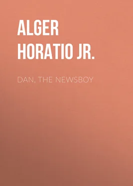 Horatio Alger Dan, The Newsboy обложка книги