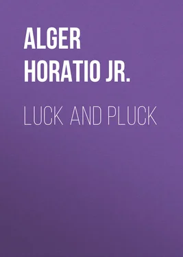 Horatio Alger Luck and Pluck обложка книги