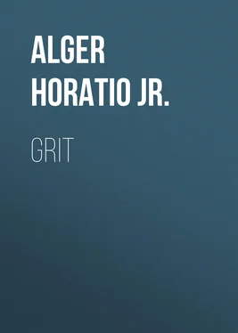Horatio Alger Grit обложка книги