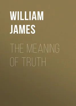 William James The Meaning of Truth обложка книги