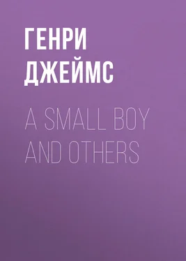 Генри Джеймс A Small Boy and Others обложка книги
