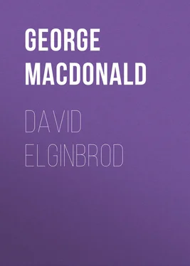 George MacDonald David Elginbrod обложка книги