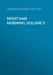 Эдвард Бульвер-Литтон - Night and Morning, Volume 3