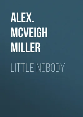 Alex. McVeigh Miller Little Nobody обложка книги