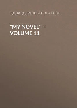 Эдвард Бульвер-Литтон My Novel — Volume 11