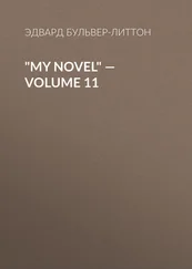 Эдвард Бульвер-Литтон - My Novel — Volume 11