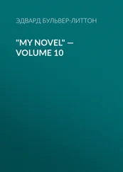 Эдвард Бульвер-Литтон - My Novel — Volume 10