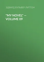 Эдвард Бульвер-Литтон - My Novel — Volume 09
