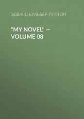 Эдвард Бульвер-Литтон - My Novel — Volume 08