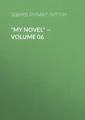Эдвард Бульвер-Литтон - My Novel — Volume 06