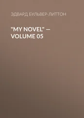 Эдвард Бульвер-Литтон - My Novel — Volume 05