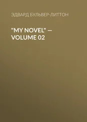 Эдвард Бульвер-Литтон - My Novel — Volume 02