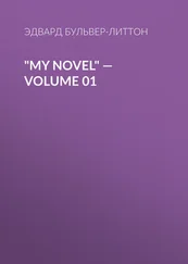 Эдвард Бульвер-Литтон - My Novel — Volume 01