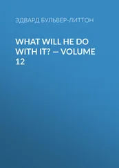 Эдвард Бульвер-Литтон - What Will He Do with It? — Volume 12