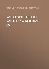 Эдвард Бульвер-Литтон - What Will He Do with It? — Volume 09