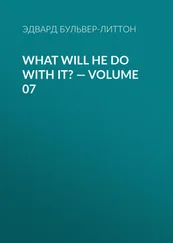 Эдвард Бульвер-Литтон - What Will He Do with It? — Volume 07