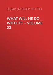 Эдвард Бульвер-Литтон - What Will He Do with It? — Volume 03