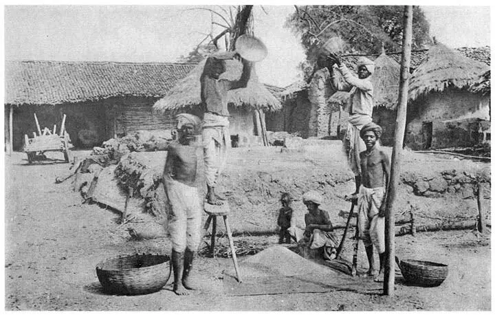 Winnowing 35 Superstitions about houses The following are some superstitious - фото 9