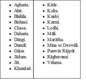 In this division the Kurmis and Kunbis are the typical agricultural castes of - фото 8