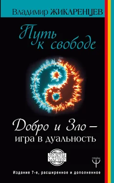 Владимир Жикаренцев Путь к свободе. Добро и Зло – игра в дуальность обложка книги