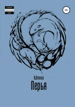Алексей Мекка Перья обложка книги