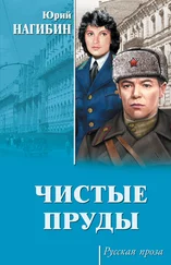 Юрий Нагибин - Чистые пруды (сборник)