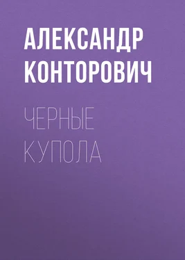 Александр Конторович Черные купола обложка книги