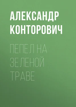 Александр Конторович Пепел на зеленой траве обложка книги