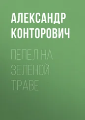 Александр Конторович - Пепел на зеленой траве