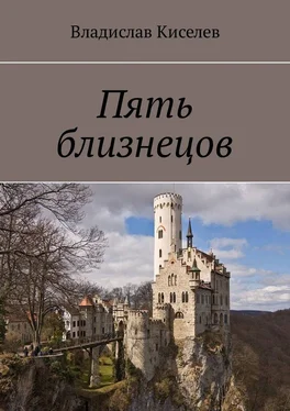 Владислав Киселев Пять близнецов обложка книги