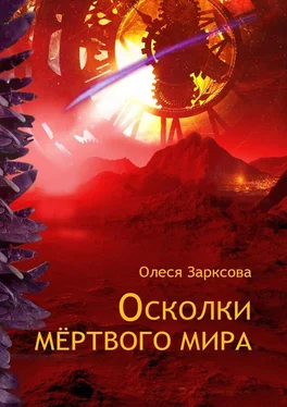 Олеся Зарксова Осколки мёртвого мира обложка книги
