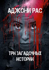 Аджони Рас - Три загадочных истории. Сборник рассказов