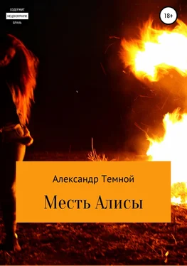 Александр Темной Месть Алисы обложка книги