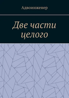 Адвоинженер Две части целого обложка книги